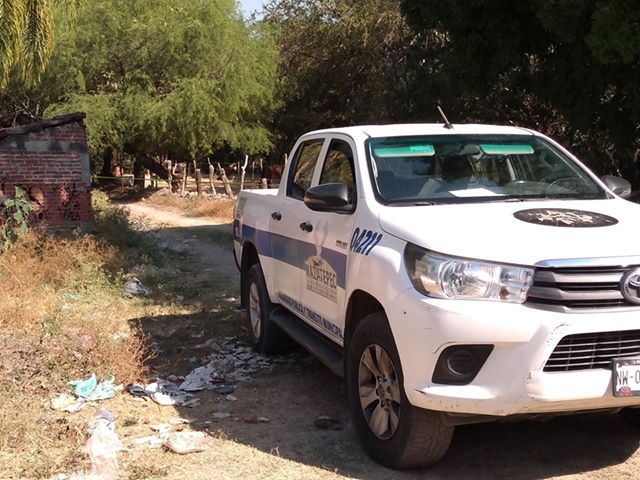 86817049_139319724226746_7163578465554268160_n